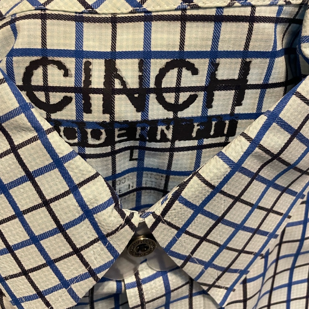 Euc Cinch Button Down - image 3